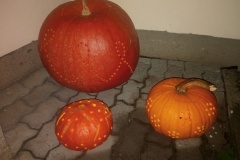 MARTINSKÁ SLAVNOST 19.11.2016