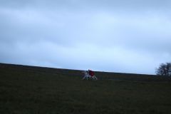 Martin_2021_157