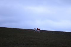 Martin_2021_158