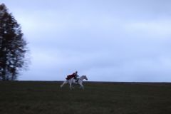 Martin_2021_159