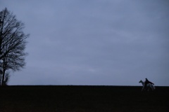 DSCF1743