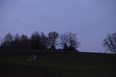 DSCF1746