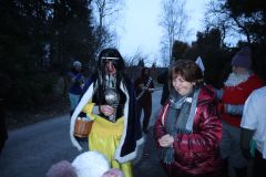 maso_2023_253