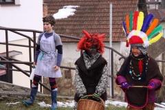 MASOPUST 14.2.2015