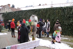 MASOPUST 14.2.2015