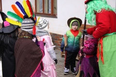 MASOPUST 14.2.2015