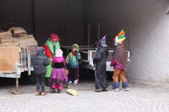MASOPUST 14.2.2015