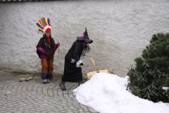 MASOPUST 14.2.2015