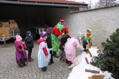 MASOPUST 14.2.2015
