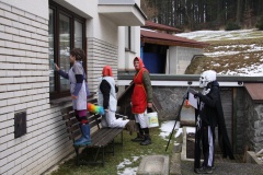 MASOPUST 14.2.2015