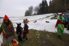 MASOPUST 14.2.2015