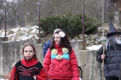 MASOPUST 2013