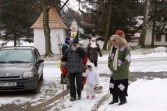 MASOPUST 2013