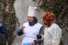 MASOPUST 2013