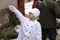 MASOPUST 2013