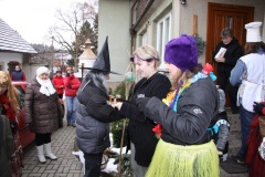 MASOPUST 2013