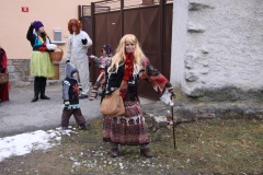 MASOPUST 2013