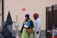 MASOPUST 2013