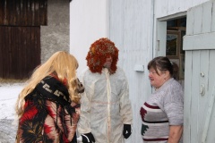MASOPUST 2013