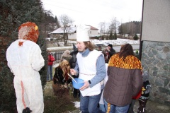 MASOPUST 2013