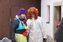 MASOPUST 2013