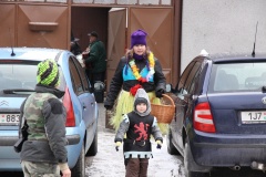 MASOPUST 2013