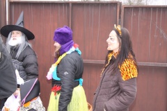 MASOPUST 2013