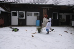 MASOPUST 2013