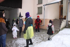 MASOPUST 2013