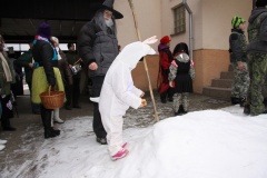MASOPUST 2013