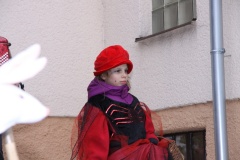 MASOPUST 2013