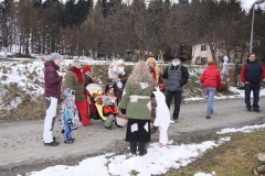 MASOPUST 2013