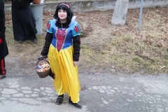 maso2020_287