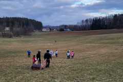 maso_22_012