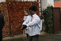 maso_2026_248