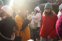 maso_2025_280