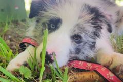 prazdniny_2024_108
