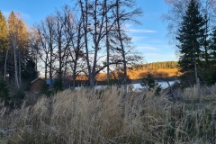 pochod_2021_06