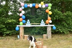 pohadkovy_les_2023_021