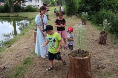 pohadkovy_les_21_040