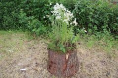 pohadkovy_les_21_041