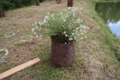 pohadkovy_les_21_043