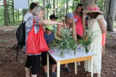 pohadkovy_les_21_055