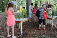 pohadkovy_les_21_056