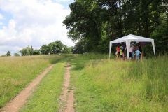 pohadkovy_les_21_073
