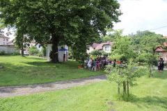 pohadkovy_les_21_109
