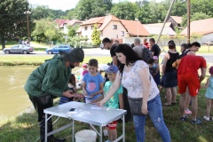 PLM_2020_066