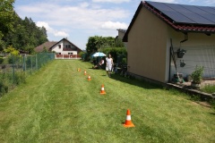PLM_2020_081