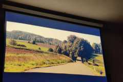 promitani_1_3_24_4