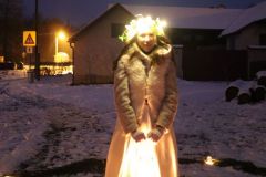 stromek_2021_037